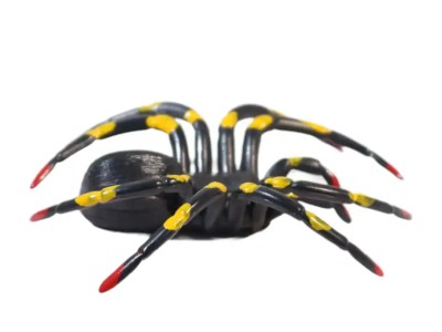 Kids Spider Toy