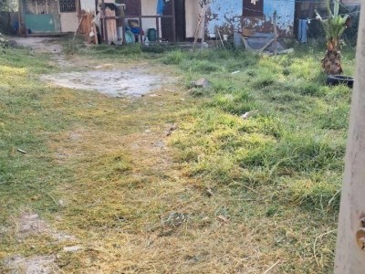 Furnished house for sale