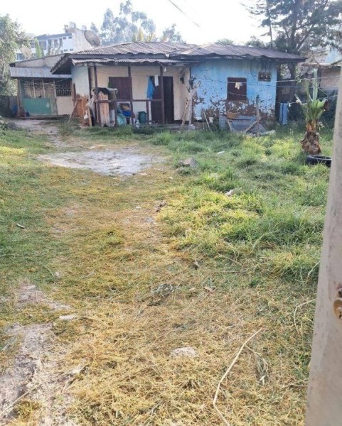 Furnished house for sale