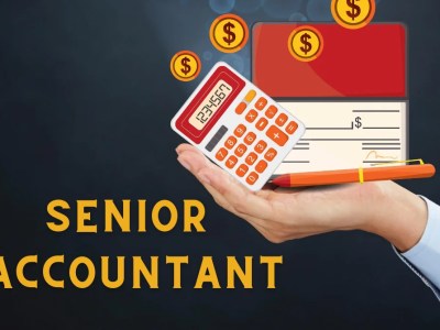 Senior Accountant (Project Site)