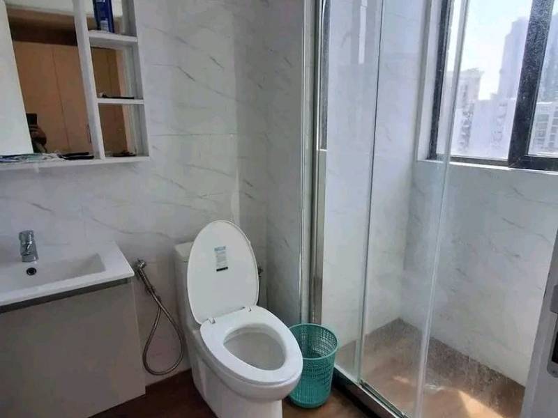 Fully furnished Apartment for rent in bole atlas