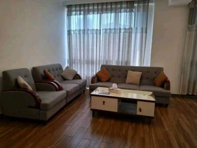 Fully furnished Apartment for rent in bole atlas