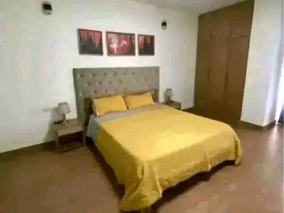 Fully furnished Apartment for rent in bole atlas