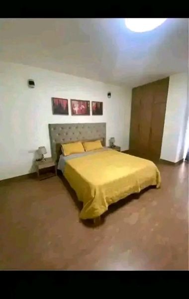 Fully furnished Apartment for rent in bole atlas