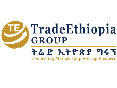 Web Developer Wordpress Developer Addis Ababa