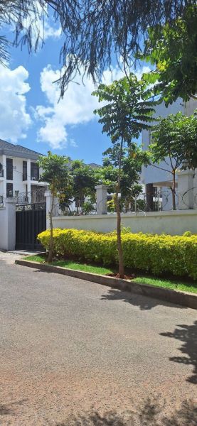 Urgently for sale #bank owned