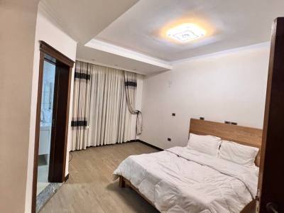 G+1 Very modern and luxurious Compound Guest Houses