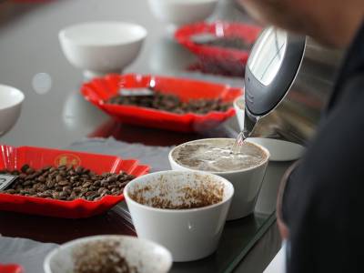 Request for Proposal (RFP) Submission