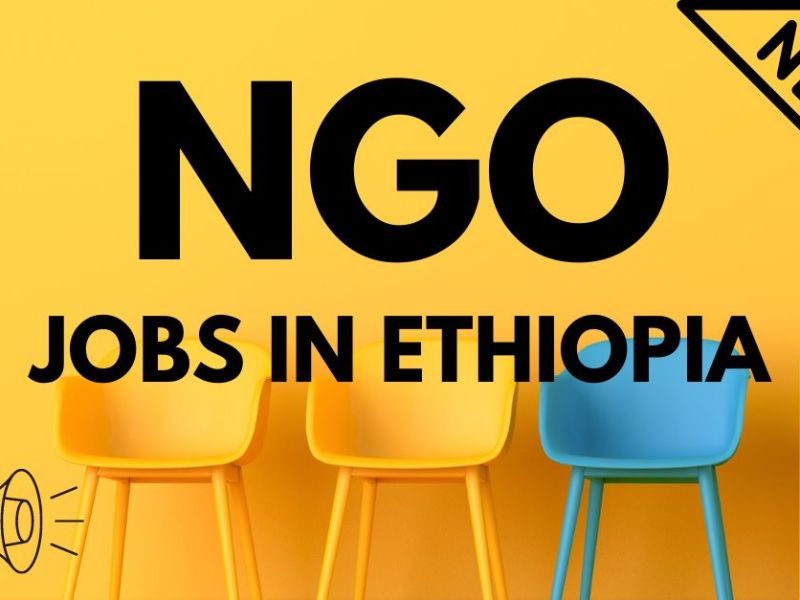 LIGHT VEHICLE DRIVER